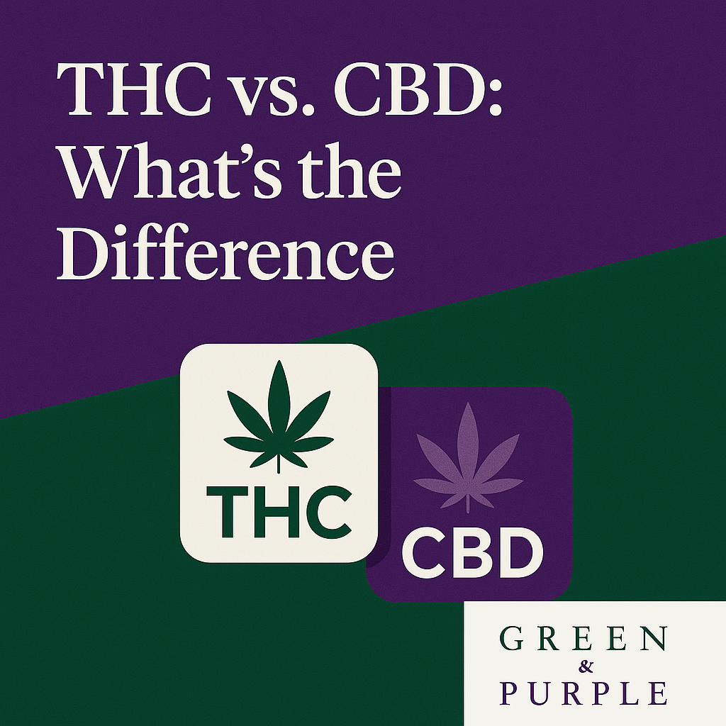 THC vs. CBD: What’s the Difference and Why It Matters